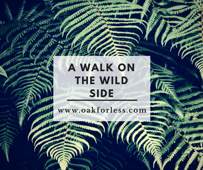 A Walk On The Wild Side