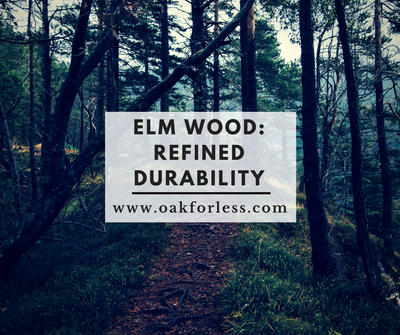 Elm Wood: Refined Durability